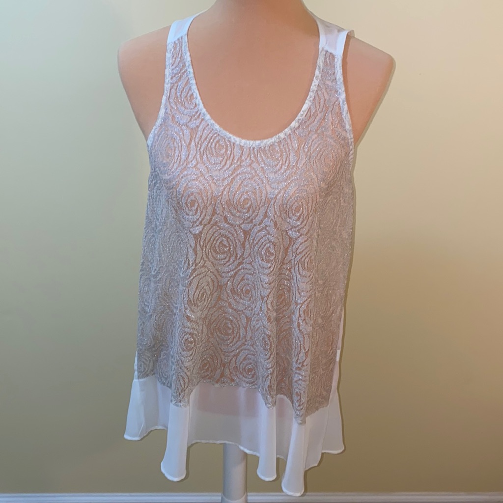 Charming Charlie Sheer Top (Or Dress If You Are Short)